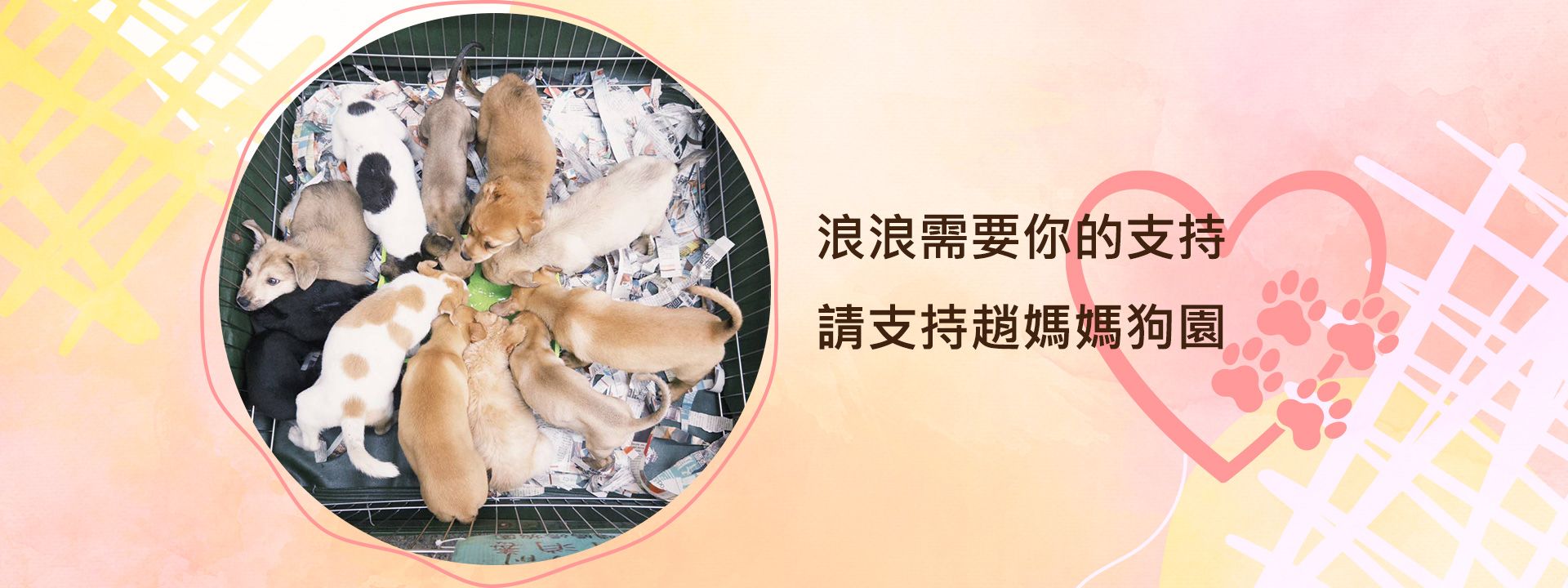 浪浪需要你的支持 請支持趙媽媽狗園